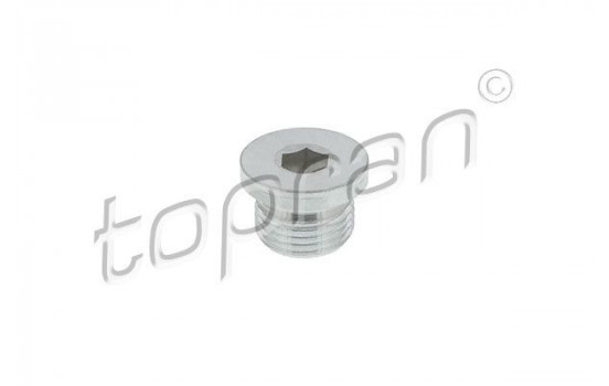 Sealing Plug, oil sump