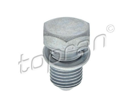 Sealing Plug, oil sump