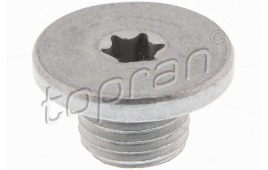 Sealing Plug, oil sump