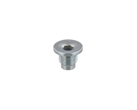 Sealing Plug, oil sump