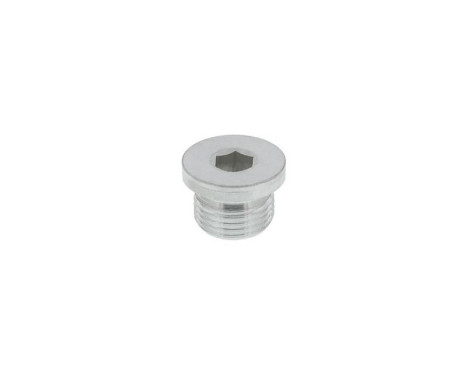 Sealing Plug, oil sump