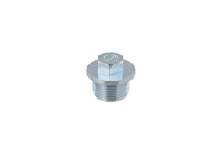 Sealing Plug, oil sump