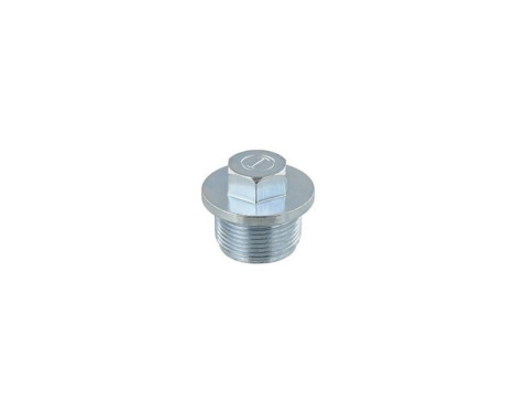 Sealing Plug, oil sump