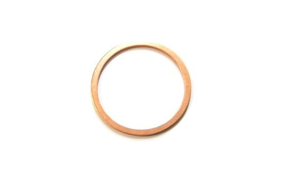 sealing ring 031.151 Elring