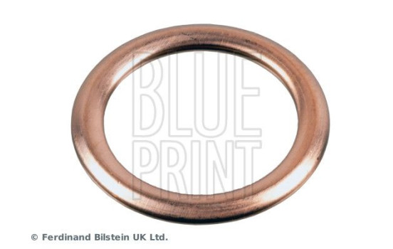 sealing ring ADBP010002 Blue Print