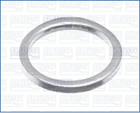 Sealing ring, oil drain plug