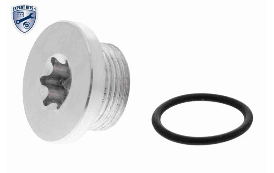 Sealing screw, gearbox housing