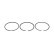 Piston ring set