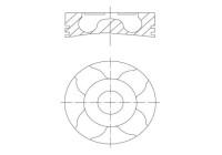 Piston