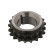 Gear, crankshaft 25035 FEBI