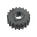 Gear, crankshaft 25101 FEBI