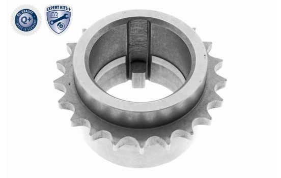 Gear, crankshaft