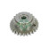 Gear, timing chain deflector