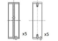 Main bearing