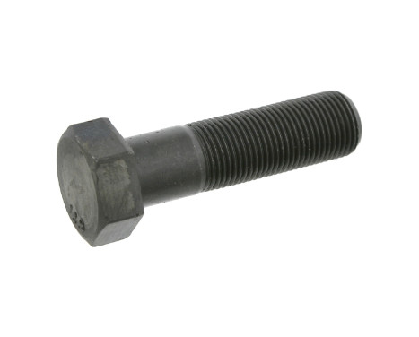 Pulley Bolt 17230 FEBI