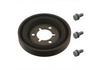 Belt Pulley, crankshaft ProKit
