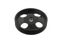 Pulley, power steering pump