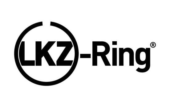 Piston ring set, Image 4