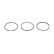 Piston ring set