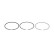 Piston ring set