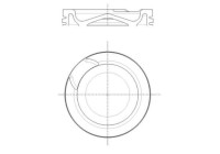 Piston