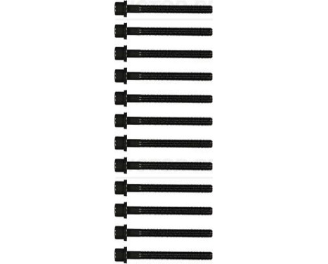 Bolt Kit, cylinder head