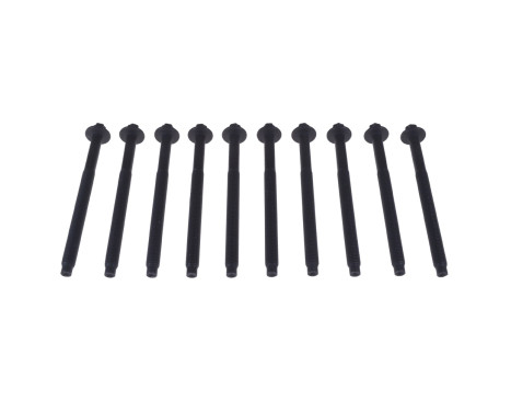 Bolt Kit, cylinder head