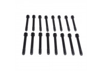 Bolt Kit, cylinder head