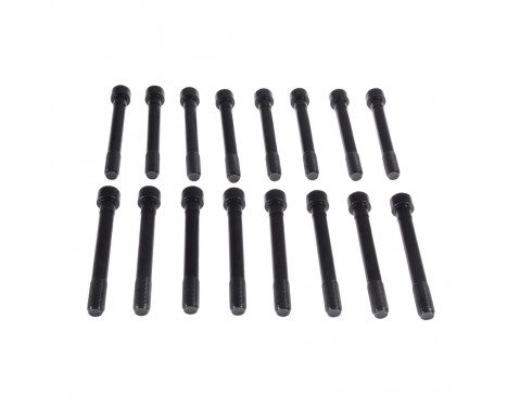 Bolt Kit, cylinder head