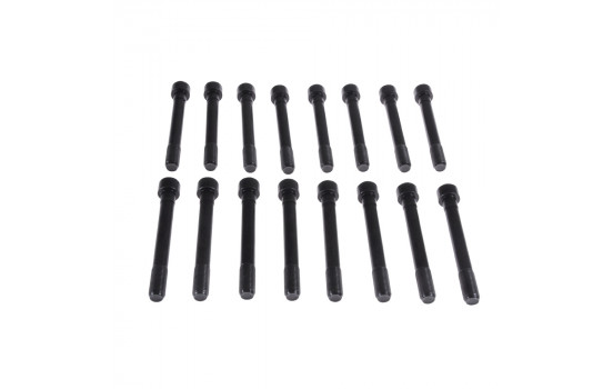 Bolt Kit, cylinder head