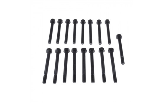 Bolt Kit, cylinder head