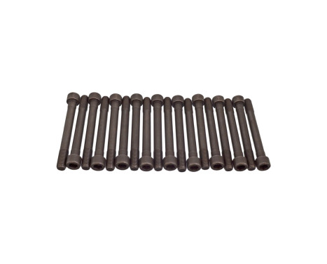 Bolt Kit, cylinder head