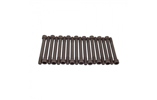 Bolt Kit, cylinder head