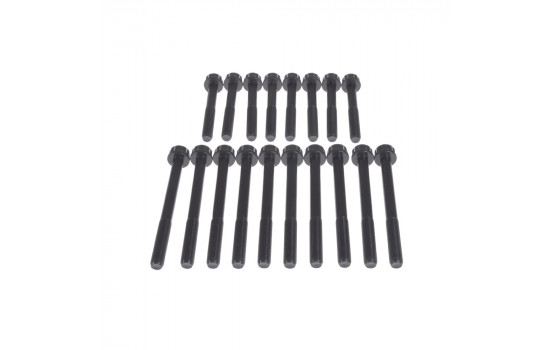 Bolt Kit, cylinder head