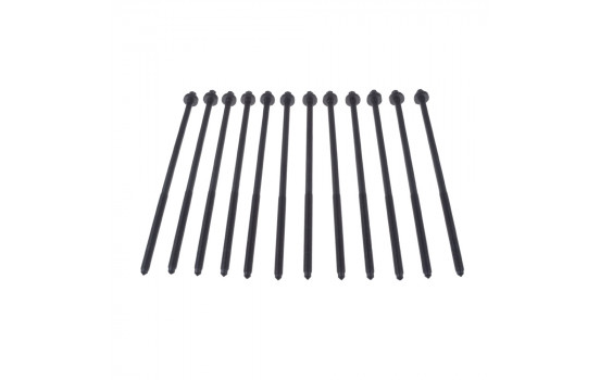 Bolt Kit, cylinder head
