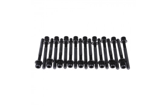 Bolt Kit, cylinder head