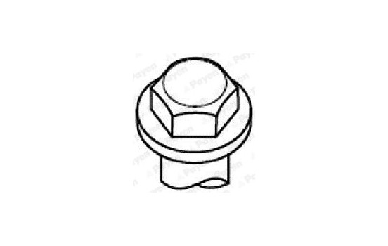 Bolt Kit, cylinder head