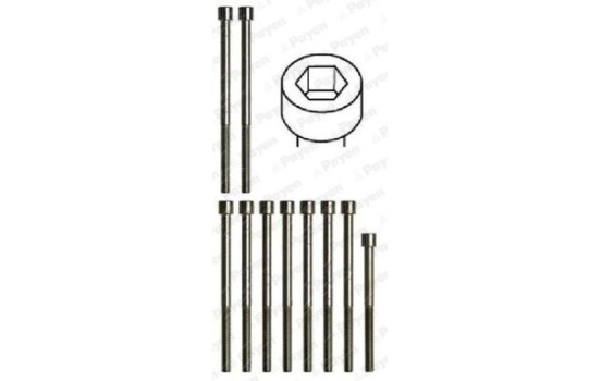 Bolt Kit, cylinder head