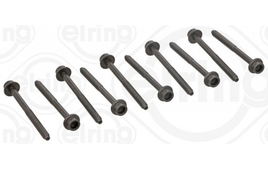 Bolt Kit, cylinder head