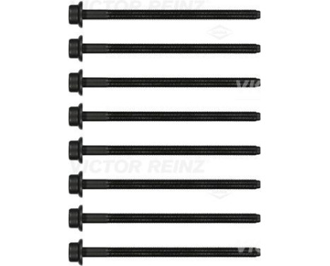 Bolt Kit, cylinder head