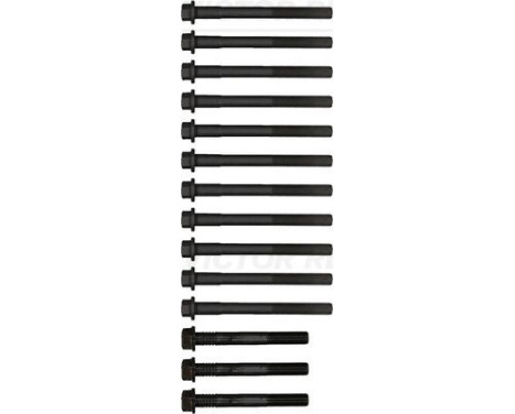 Bolt Kit, cylinder head