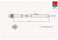 Bolt Kit, cylinder head
