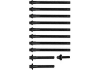 Cylinder head bolt set