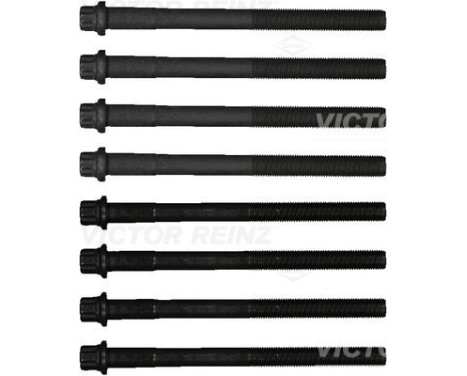 Cylinder head bolt set
