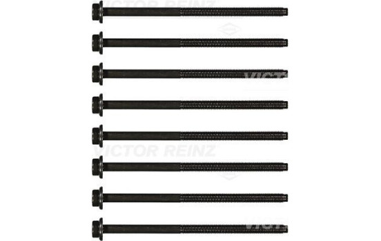 Cylinder head bolt set