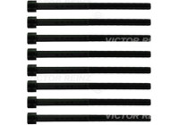 Cylinder head bolt set