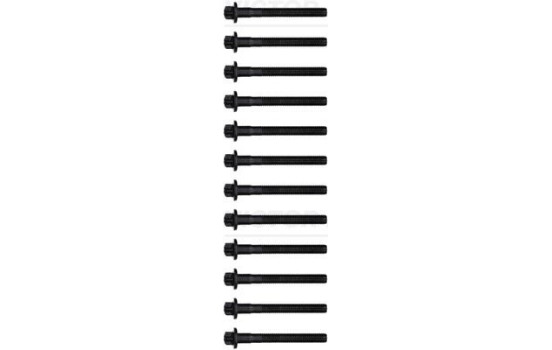 Cylinder head bolt set