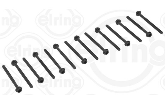 Cylinder head bolt set