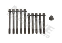 Cylinder head bolt set