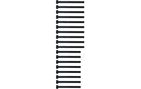 Cylinder head bolt set